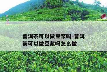 普洱茶可以做豆浆吗-普洱茶可以做豆浆吗怎么做