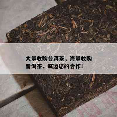 大量收购普洱茶，海量收购普洱茶，诚邀您的合作！