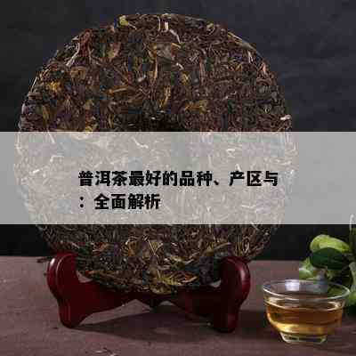 普洱茶更好的品种、产区与：全面解析