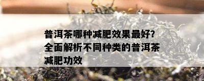 普洱茶哪种减肥效果更好？全面解析不同种类的普洱茶减肥功效