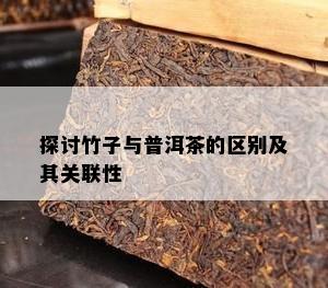 探讨竹子与普洱茶的区别及其关联性