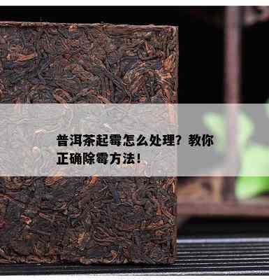 普洱茶起霉怎么处理？教你正确除霉方法！