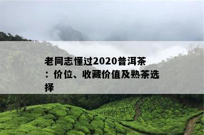 老同志懂过2020普洱茶：价位、收藏价值及熟茶选择