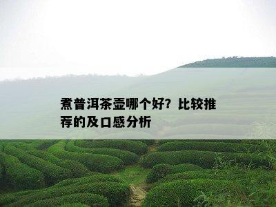 煮普洱茶壶哪个好？比较推荐的及口感分析