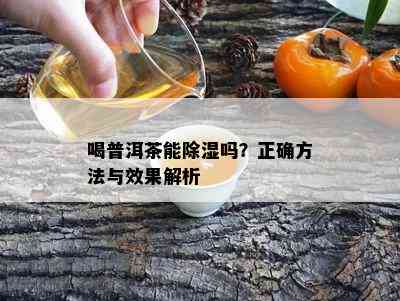 喝普洱茶能除湿吗？正确方法与效果解析