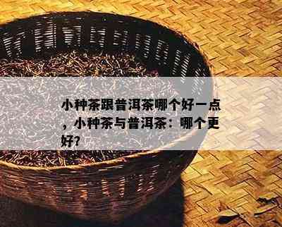 小种茶跟普洱茶哪个好一点，小种茶与普洱茶：哪个更好？