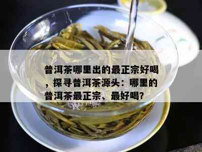 普洱茶哪里出的最正宗好喝，探寻普洱茶源头：哪里的普洱茶最正宗、更好喝？