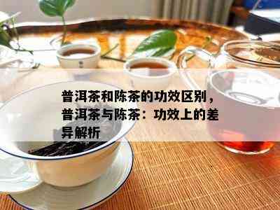 普洱茶和陈茶的功效区别，普洱茶与陈茶：功效上的差异解析