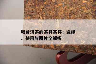 喝普洱茶的茶具茶杯：选择、使用与图片全解析