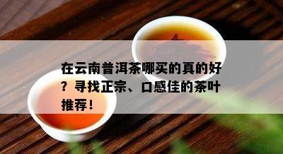 在云南普洱茶哪买的真的好？寻找正宗、口感佳的茶叶推荐！