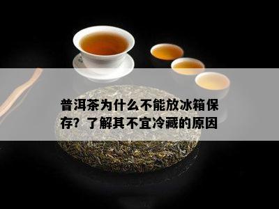 普洱茶为什么不能放冰箱保存？了解其不宜冷藏的原因