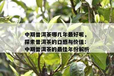 中期普洱茶哪几年更好呢，探索普洱茶的口感与价值：中期普洱茶的更佳年份解析