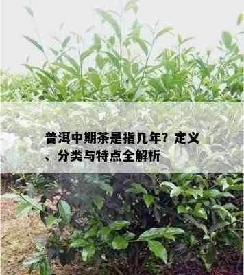 普洱中期茶是指几年？定义、分类与特点全解析