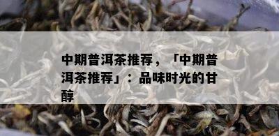 中期普洱茶推荐，「中期普洱茶推荐」：品味时光的甘醇