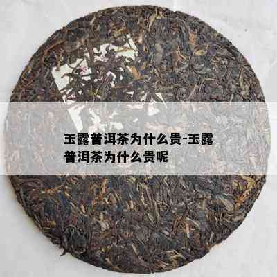 玉露普洱茶为什么贵-玉露普洱茶为什么贵呢