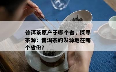 普洱茶原产于哪个省，探寻茶源：普洱茶的发源地在哪个省份？