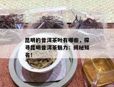 昆明的普洱茶叶有哪些，探寻昆明普洱茶魅力：揭秘知名！