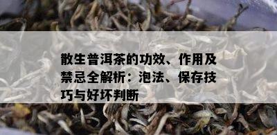 散生普洱茶的功效、作用及禁忌全解析：泡法、保存技巧与好坏判断