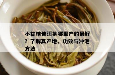 小甘桔普洱茶哪里产的更好？了解其产地、功效与冲泡方法