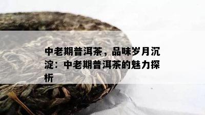 中老期普洱茶，品味岁月沉淀：中老期普洱茶的魅力探析