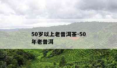 50岁以上老普洱茶-50年老普洱