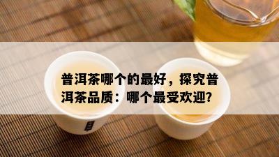 普洱茶哪个的更好，探究普洱茶品质：哪个更受欢迎？