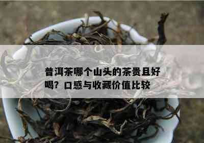 普洱茶哪个山头的茶贵且好喝？口感与收藏价值比较