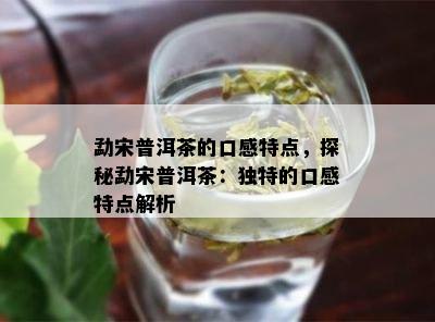 勐宋普洱茶的口感特点，探秘勐宋普洱茶：独特的口感特点解析