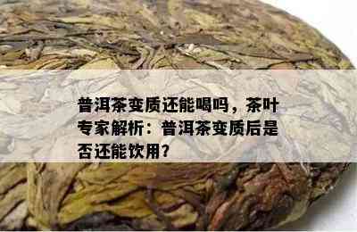 普洱茶变质还能喝吗，茶叶专家解析：普洱茶变质后是否还能饮用？