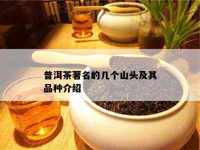 普洱茶著名的几个山头及其品种介绍