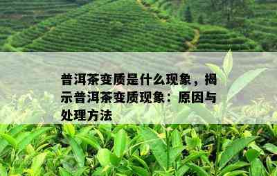 普洱茶变质是什么现象，揭示普洱茶变质现象：原因与处理方法