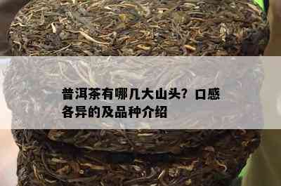 普洱茶有哪几大山头？口感各异的及品种介绍