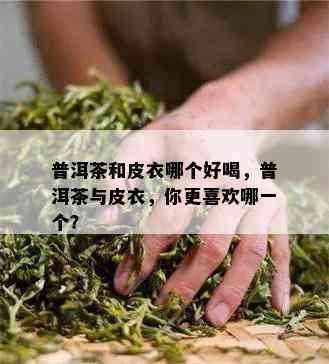 普洱茶和皮衣哪个好喝，普洱茶与皮衣，你更喜欢哪一个？