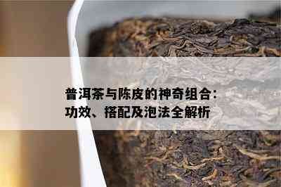 普洱茶与陈皮的神奇组合：功效、搭配及泡法全解析