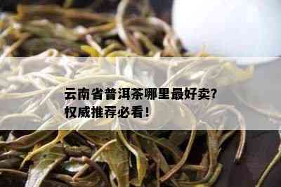 云南省普洱茶哪里更好卖？权威推荐必看！