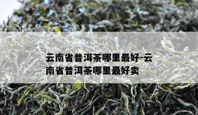 云南省普洱茶哪里更好-云南省普洱茶哪里更好卖