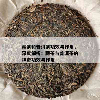 藏茶和普洱茶功效与作用，深度解析：藏茶与普洱茶的神奇功效与作用