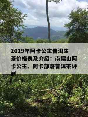 2019年阿卡公主普洱生茶价格表及介绍：南糯山阿卡公主、阿卡部落普洱茶评测