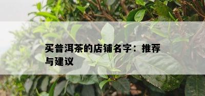 买普洱茶的店铺名字：推荐与建议