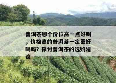 普洱茶哪个价位高一点好喝，价格高的普洱茶一定更好喝吗？探讨普洱茶的选购建议