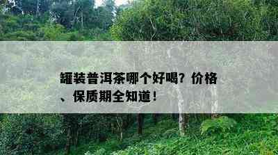 罐装普洱茶哪个好喝？价格、保质期全知道！