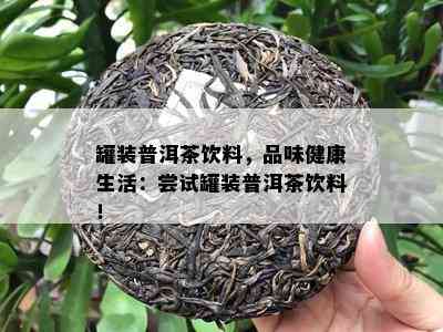 罐装普洱茶饮料，品味健康生活：尝试罐装普洱茶饮料！