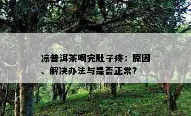 凉普洱茶喝完肚子疼：原因、解决办法与是否正常？