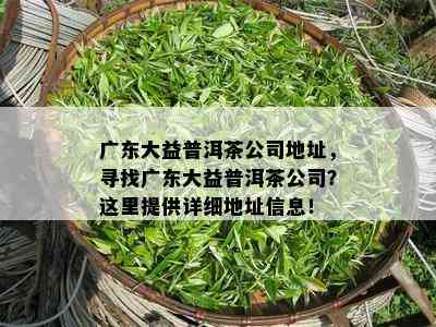 广东大益普洱茶公司地址，寻找广东大益普洱茶公司？这里提供详细地址信息！