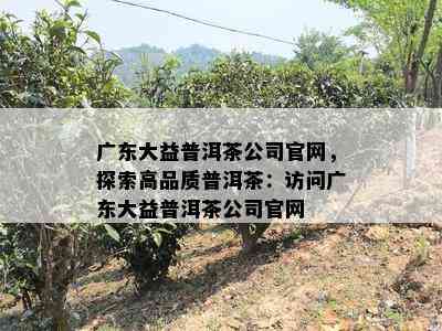 广东大益普洱茶公司官网，探索高品质普洱茶：访问广东大益普洱茶公司官网