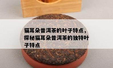 猫耳朵普洱茶的叶子特点，探秘猫耳朵普洱茶的独特叶子特点