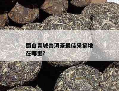 蜀山青城普洱茶更佳采摘地在哪里？