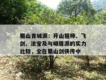 蜀山青城派：开山祖师、飞剑、法宝及与峨眉派的实力比较，全在蜀山剑侠传中