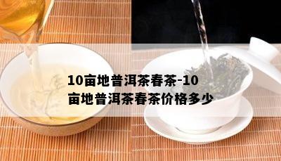 10亩地普洱茶春茶-10亩地普洱茶春茶价格多少