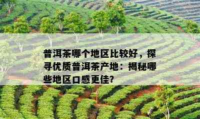 普洱茶哪个地区比较好，探寻优质普洱茶产地：揭秘哪些地区口感更佳？